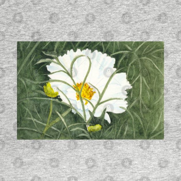 Ode to Georgia #5 - White Cosmos Flower by ConniSchaf
